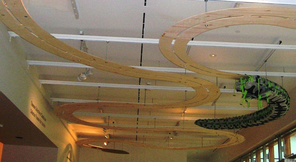 Snake Ceiling plywood form