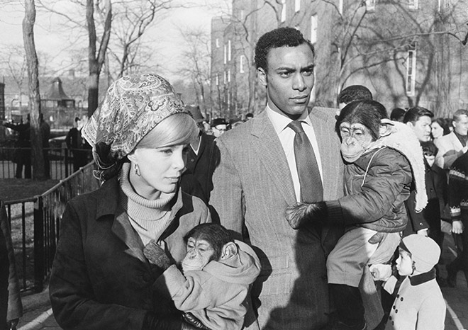 Garry Winnogrand, Central Park Zoo, NYC, 1967